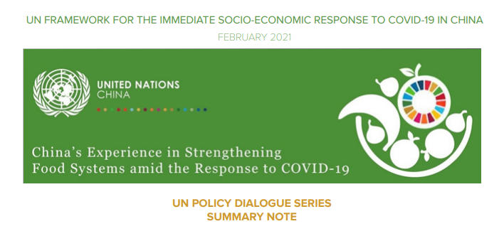 UN Policy Dialogue Series Summary Note - UN Framework For The Immediate Socio-Economic Response To COVID-19 In China