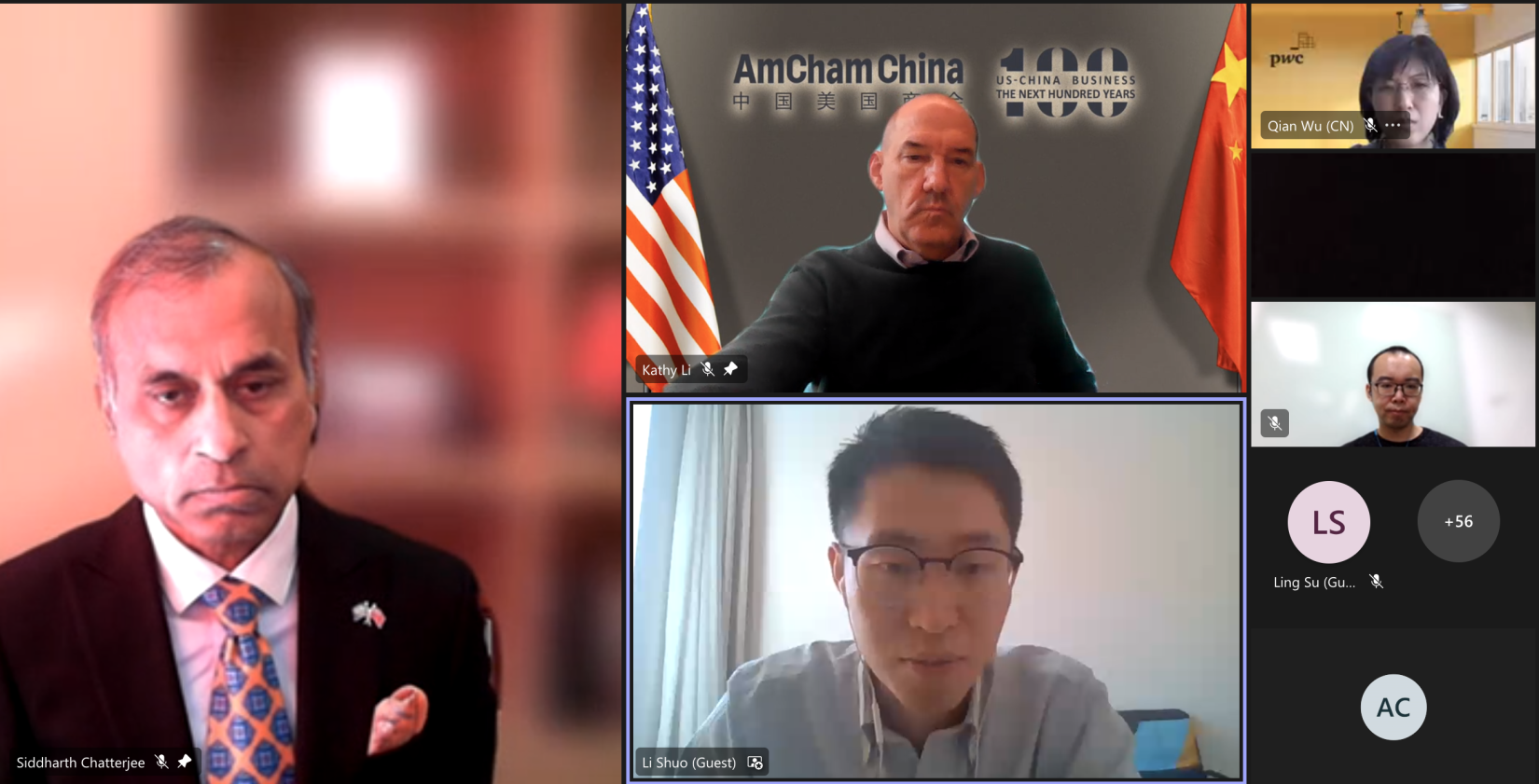 Participants at AmCham webinar