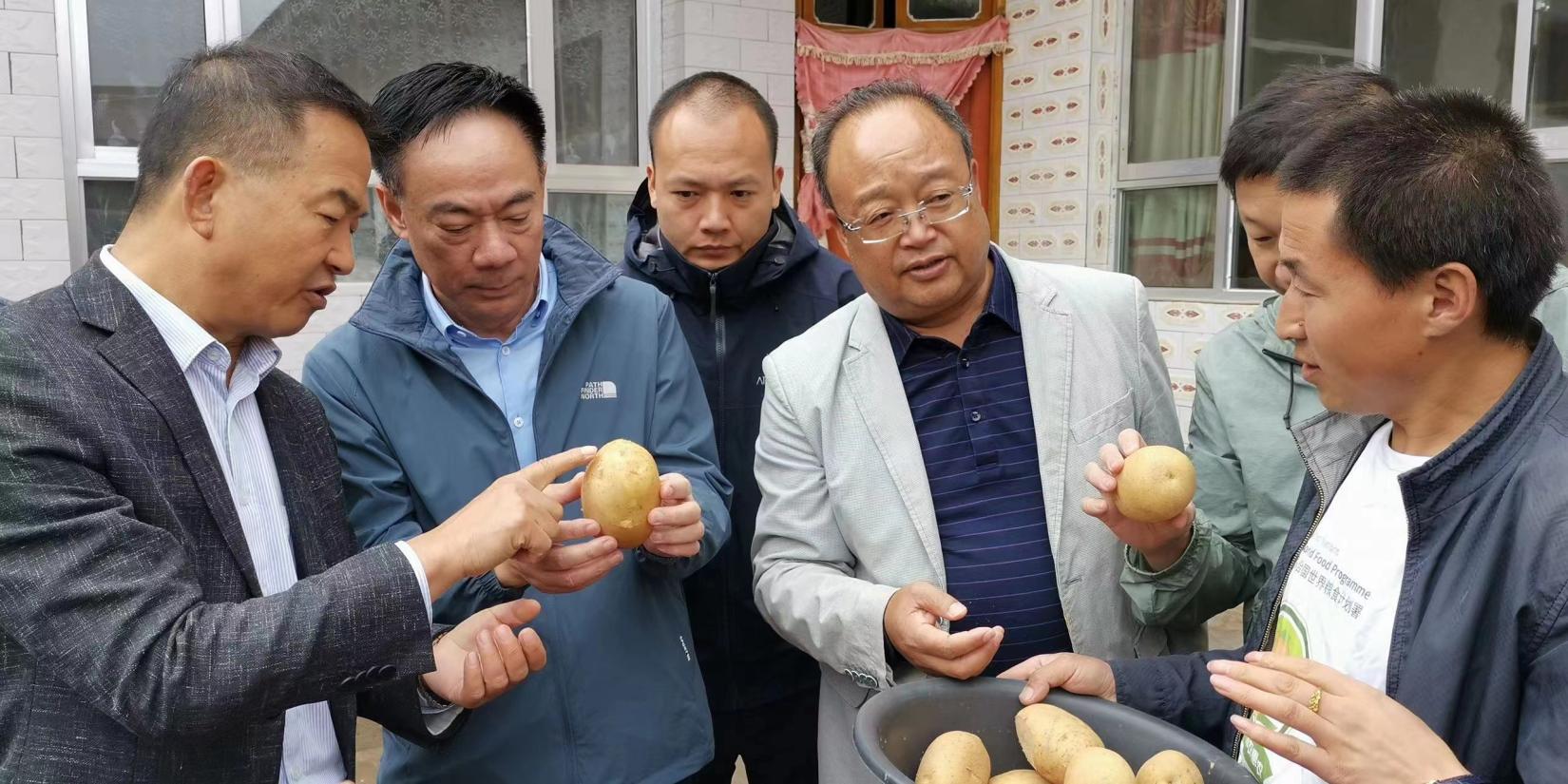 In 2021, Dr.Sixi Qu conducted monitoring mission for Gansu Zinc-rich Potato Project with the donor of this project, he communicated with beneficiary smallholder household and local officials to learn the production of zinc-rich potatoes