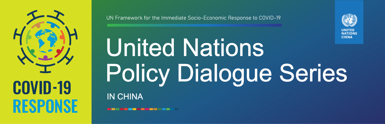 UN Policy Dialogue Series