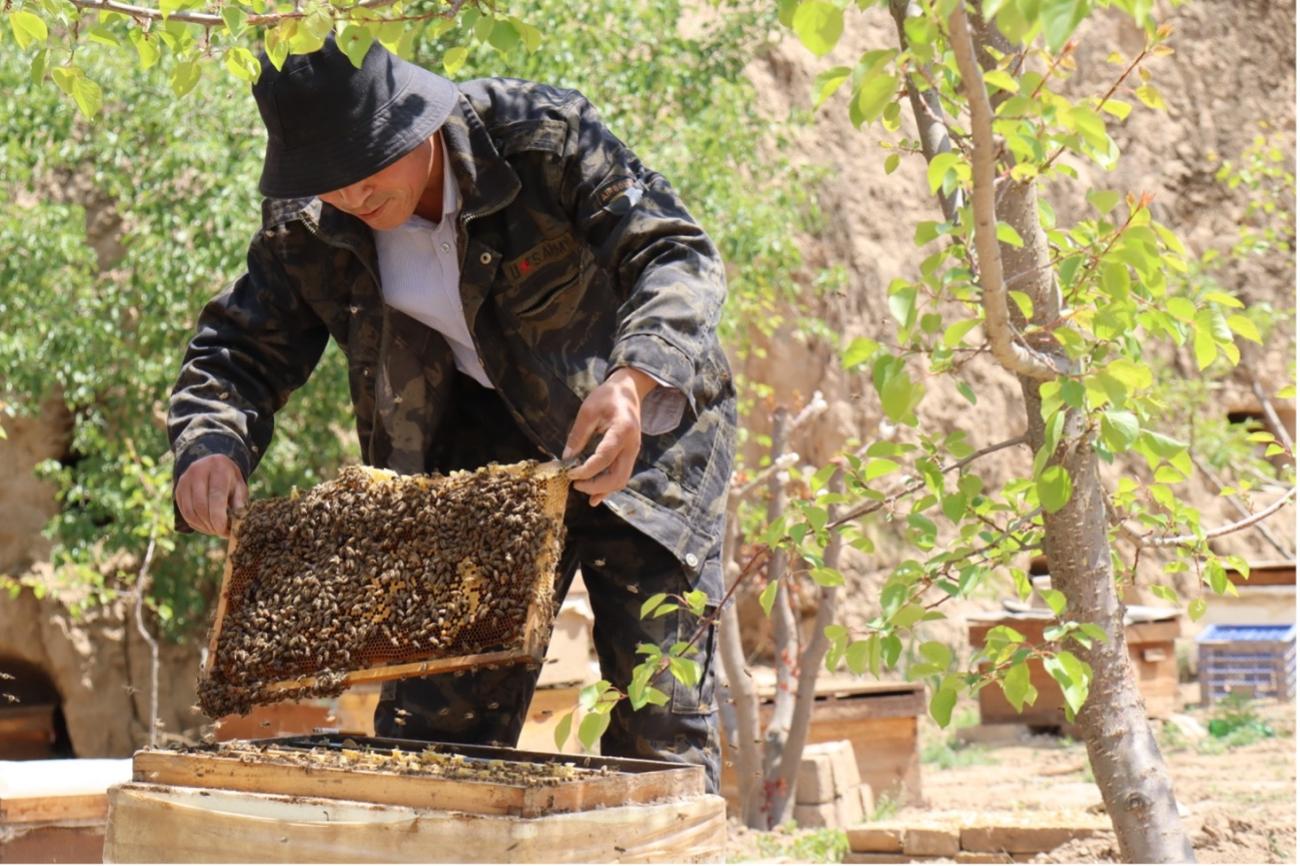 A beekeeper working on a farm