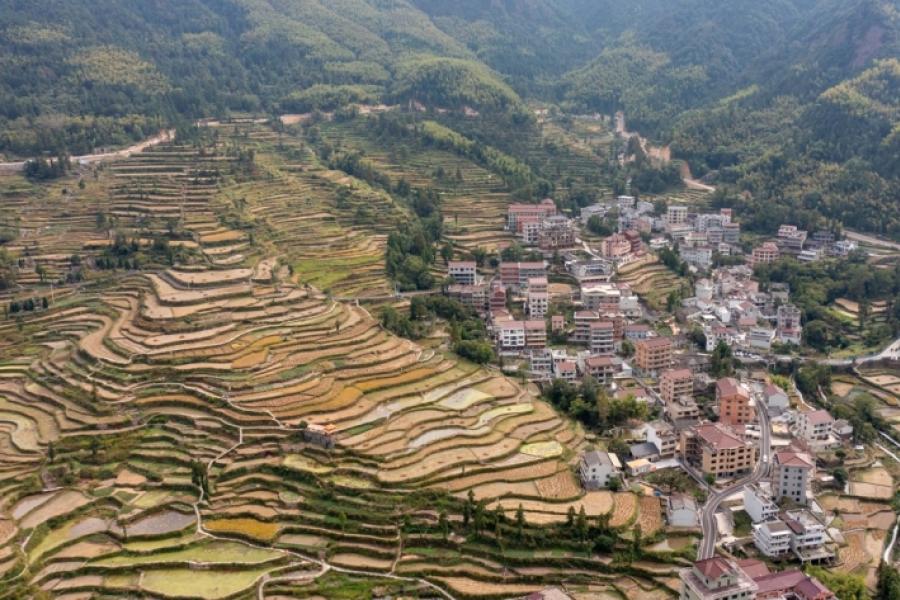 Science and tradition drive China-wide effort to restore landscapes ...