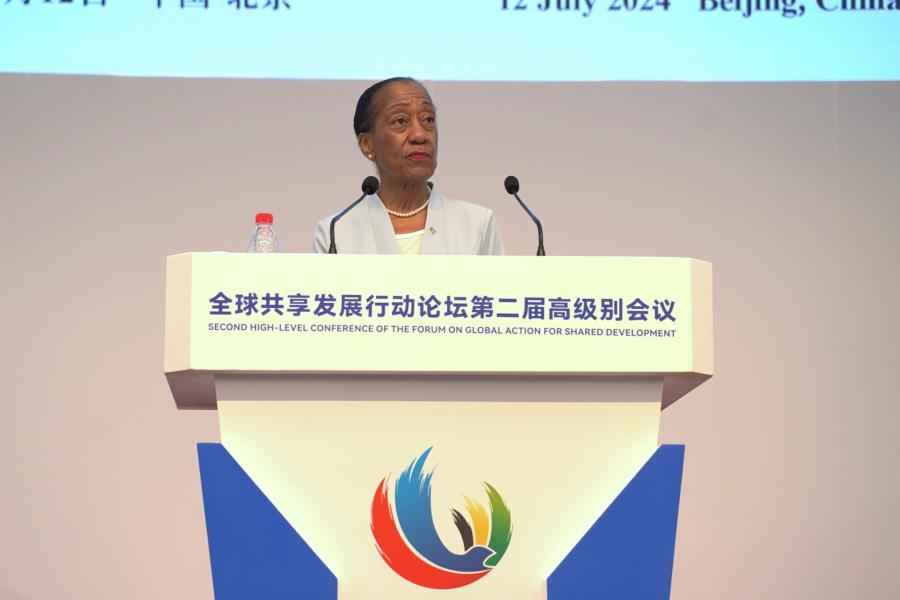 Her Excellency Ms. Paulette Bethel, Ambassador of The Bahamas to China.