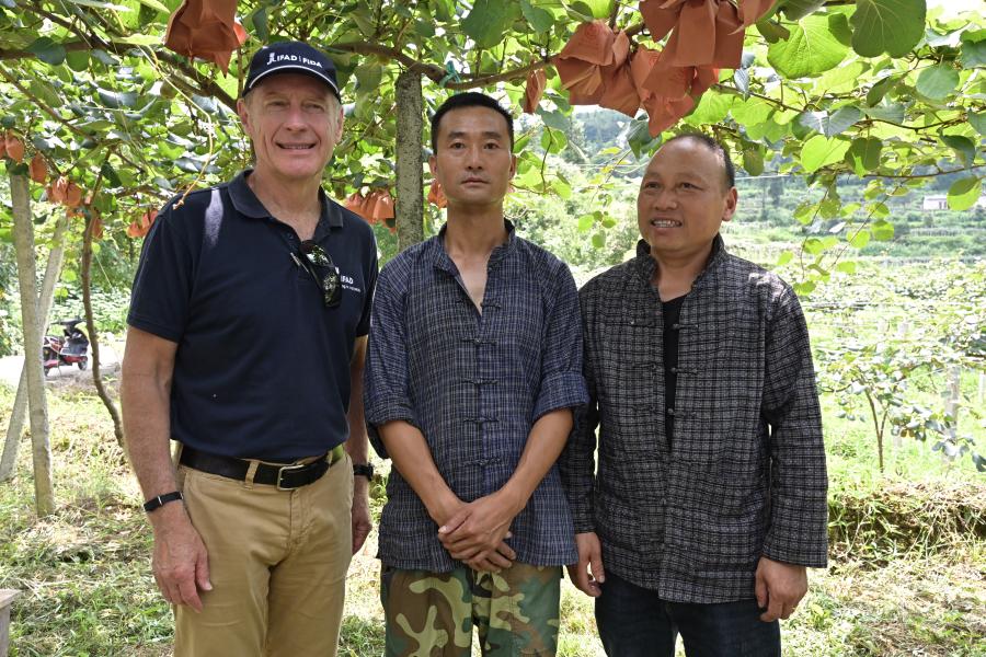 Meeting with Guanmin (centre) and another member of his cooperative on their kiwifruit farm in Fenghuang county, China