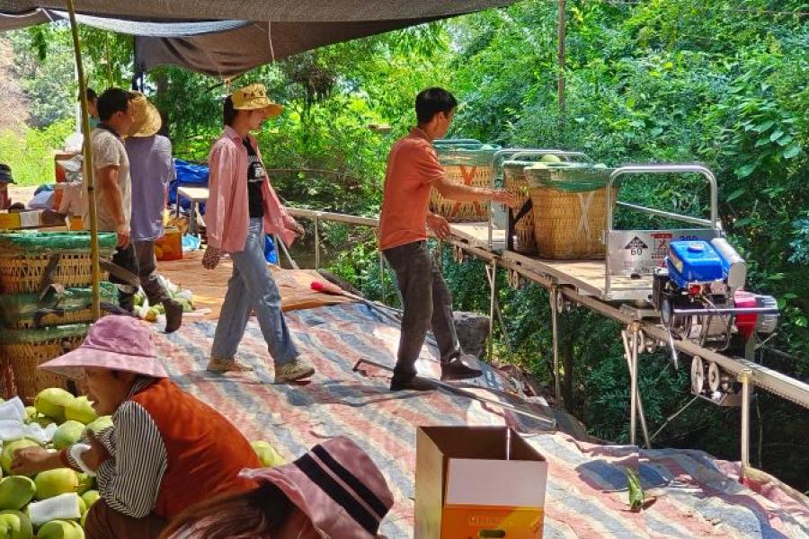 Small-scale farmers in Huaping County, China, load their monorail with fruit to be taken down the mountain.