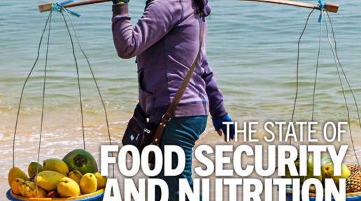 The State of Food Security and Nutrition in the World 2021