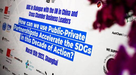 Dialogue “How can we use Public Private Partnerships to Accelerate the SDGs in this Decade of Action?”