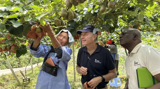 Donal Brown of IFAD visits kiwifruit farm in Fenghuang county, China.